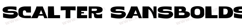 Scalter SansBoldSlan字体转换 Scalter SansBoldSlan字体转换
